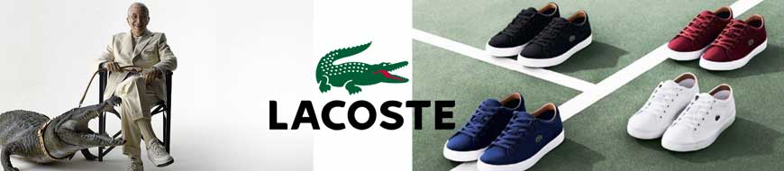 Pointure lacoste hotsell